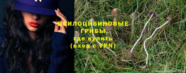 круглые Богданович