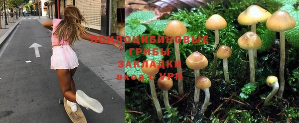 гидропоника Богородицк