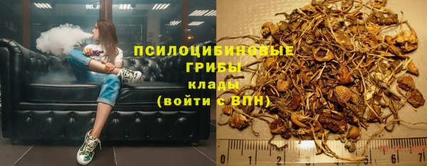 экстази Богородск