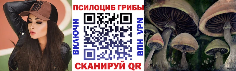 Псилоцибиновые грибы прущие грибы Дюртюли